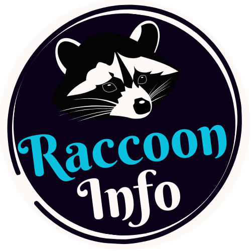 raccooninfo